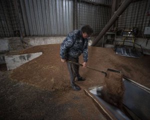 Россия накрала украинское зерно на гигантскую сумму - СМИ посчитали