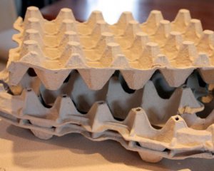 Не обязательно выбрасывать – необычные способы использования лотков для яиц