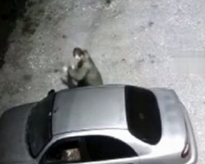Мародерство росіян: показали відео, як окупанти крадуть авто