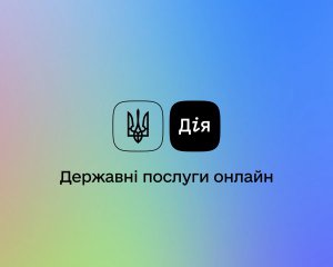 В &quot;Дія&quot; тестируют новую функцию. Она касается судов