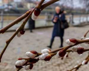 Майже весна ‒ погода здивує українців 1 січня