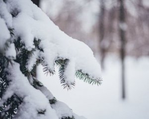 Можливий сніг ‒ прогноз погоди на 31 січня