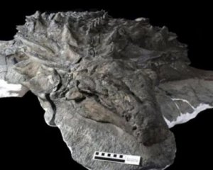Археологи знайшли добре збереженого динозавра