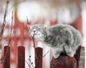 Январь удивил погодными рекордами: такого не было 100 лет