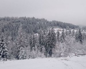 Частину України засипле снігом: погода на завтра