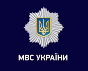 Правительство назначило новых заместителей министра МВД