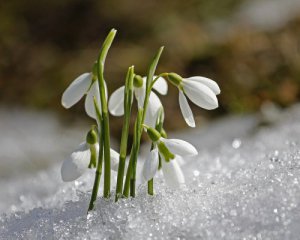 Аномальний прогноз: розказали, якою цьогоріч буде весна