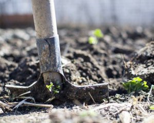 Весняні роботи на городі ‒ з чого починати