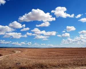 Назвали область із найдорожчою землею в Україні