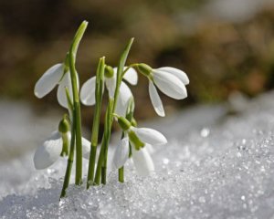 Солнце пригреет до +14°С - где именно