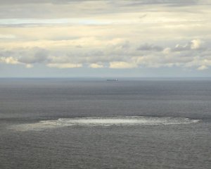 В СМИ заявили, что &quot;Северные потоки&quot; могла взорвать &quot;антипутинская группа&quot;. У Зеленского ответили