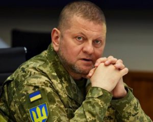 Контрнаступ ЗСУ: ЗМІ розкрило плани Залужного щодо чисельності війська