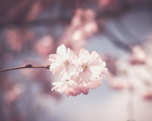 В Україну йде потепління до +18°С, але є нюанс