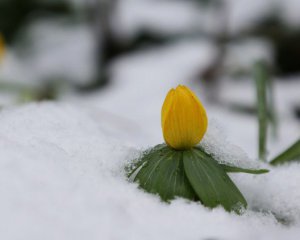 Синоптик рассказала, где завтра похолодает до +3°С