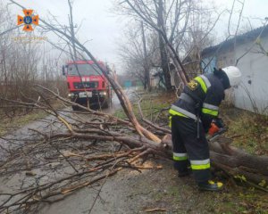 Негода накоїла лиха в столиці й низці областей: показали наслідки