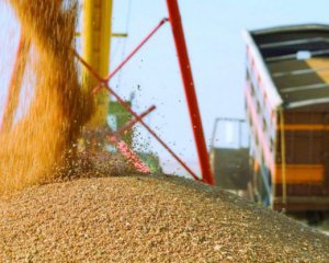 Венгрия выступает за жесткий контроль экспорта украинского зерна: заявление министра