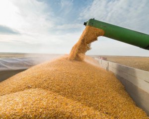 Продажа украинского зерна: Словакия ввела ограничение