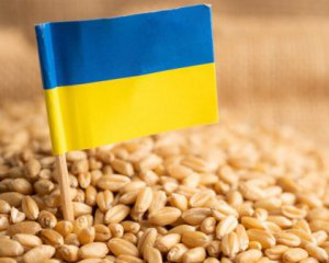 Ще одна європейська країна хоче заборонити ввезення українського зерна