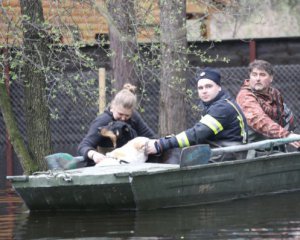 Паводки в Украине: вода натворила бед в девяти областях