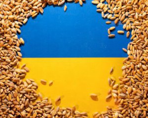 Агроімпорт з України: надійшли невтішні новини з ЄС