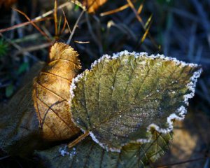 Синоптик сказав, скільки ще триватиме холодна погода