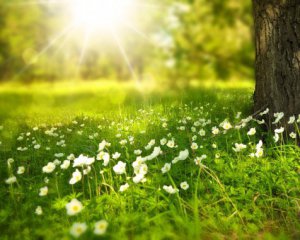 Синоптикиня сказала, якої погоди чекати влітку