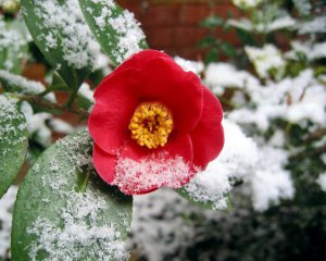 Пояснили, чому травень не балує українців теплом