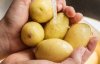 Як відмити руки після чищення молодої картоплі: простий і дієвий метод