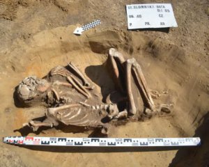 Знайшли скелет доісторичного фермера