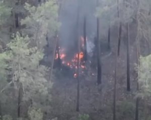 Оккупантов в лесу выследили с неба – продолжение на видео