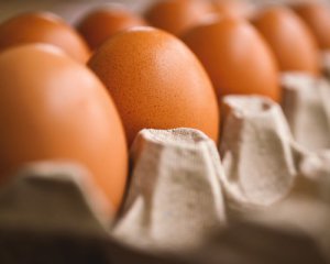 Закупівлі Міноборони: аудитор підтвердила яйце за 17 грн