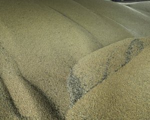 "Зерновий коридор" запрацював, але поки повільно