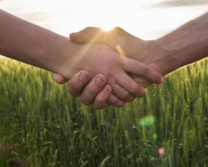 В Україні стане значно простіше купити землю