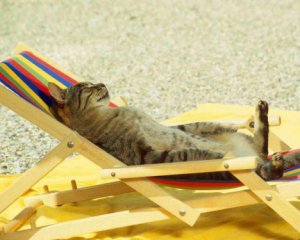 Жара до 32℃ и грозы: что еще подготовила погода на 23 июня