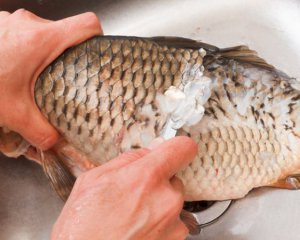 Для чистки рыбы возьмите ложку: лайфхаки, которые сохранят кухню чистой