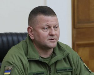 Зеленський наказав Залужному звільнити одеського воєнкома
