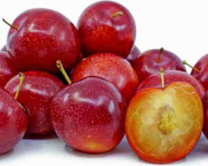 Вывели гибрид сливы и вишни: чем особенный плюэрри