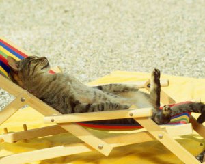 Спека до 39°С і сильні зливи: якою буде погода 7 липня