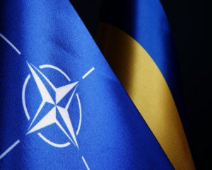Группа ключевых стран НАТО срочно согласовывают гарантии безопасности для Украины перед саммитом