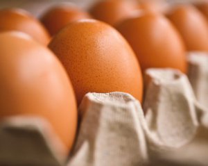 Як правильно обрати яйця і про що говорить їхня категорія
