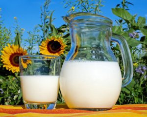 Какие чудеса произойдут с организмом, если пить молоко каждый день