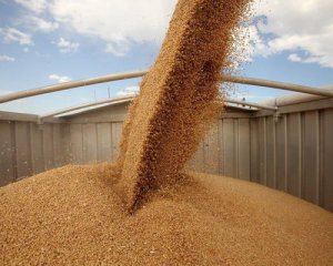 Пшениця суттєво подорожчала після виходу Росії із зернової угоди
