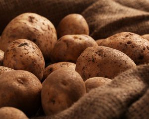 Де не можна зберігати картоплю взимку: корисні поради