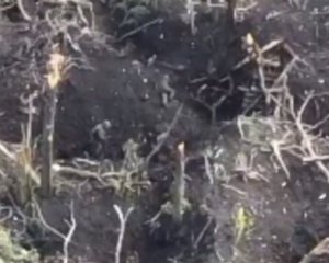 Росіянин пограбував пораненого "товариша" по службі відразу після "прильоту" й залишив його вмирати: відео