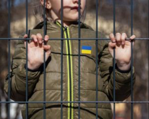 Украинский омбудсмен Лубинец запросил у ООН списки депортированных в РФ детей