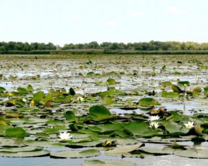 В Укргідроенерго пояснили, чому обміліло Київське водосховище