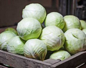 Де і як зберігати капусту взимку: найкращі методи