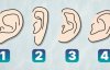 Про які риси характеру свідчить форма вух. Тест по фото
