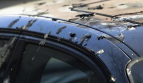 Как удалить птичий помет с кузова автомобиля, чтобы не повредить покрытие