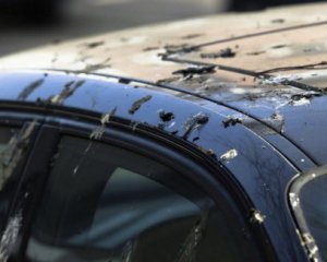 Як видалити пташиний послід з кузова автомобіля, щоб не пошкодити покриття